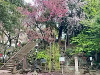 駒込富士神社(東京都)