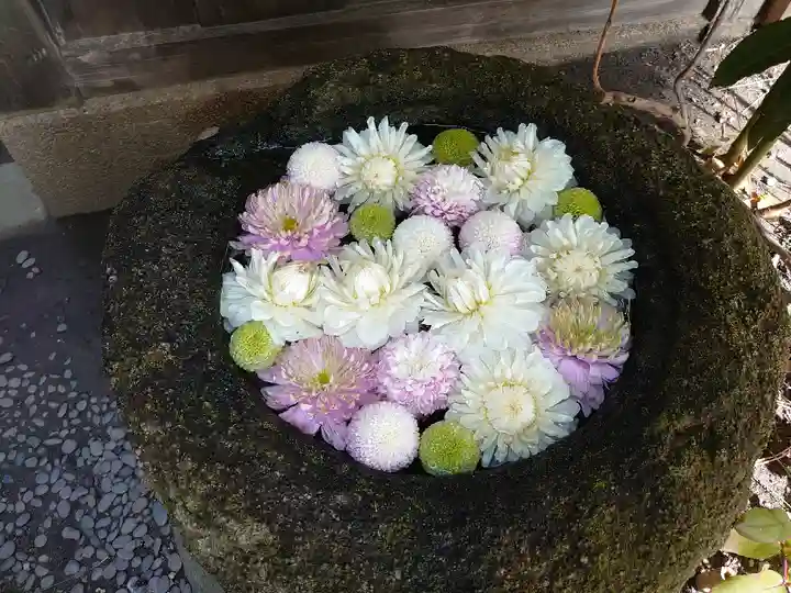 菅生神社の手水舎