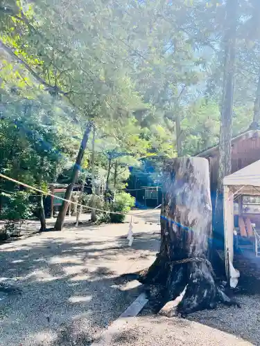大和神社(奈良県)