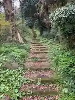 阿夫利神社の景色