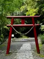 溝ノ口洞穴(鹿児島県)