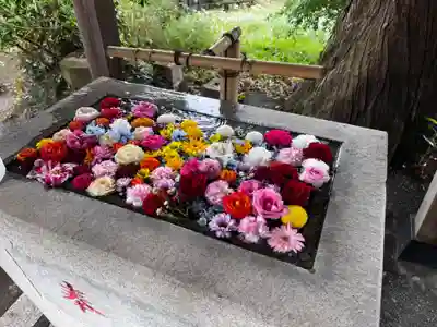 糀谷八幡宮の手水舎