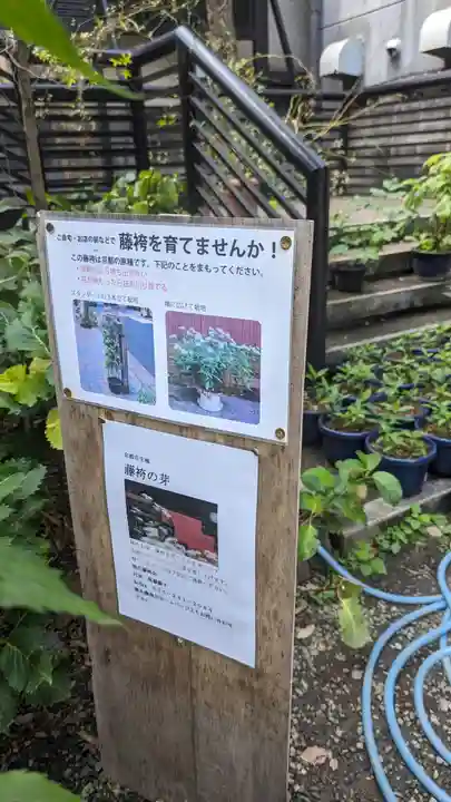 行願寺(革堂)(京都府)