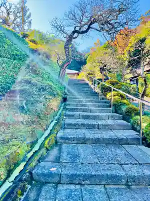 禅居院(神奈川県)
