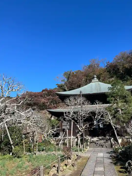 瑞泉寺(神奈川県)