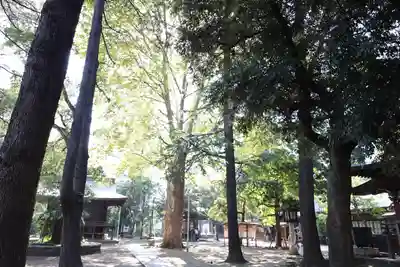 川口神社(埼玉県)