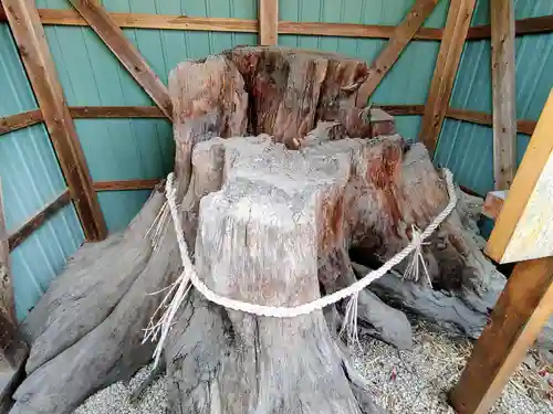 神明社（小山鹿取）の自然