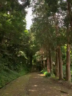 賀茂神社の周辺