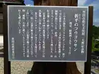 向陽寺(愛知県)