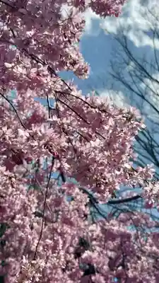 水火天満宮(京都府)