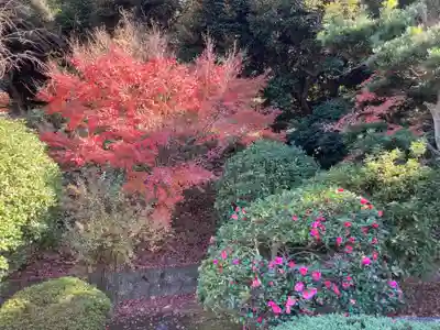 天嶽院(神奈川県)
