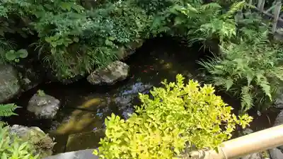 霊源院(京都府)