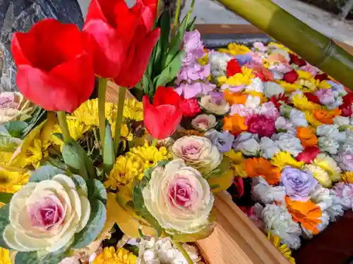 三津厳島神社の手水舎