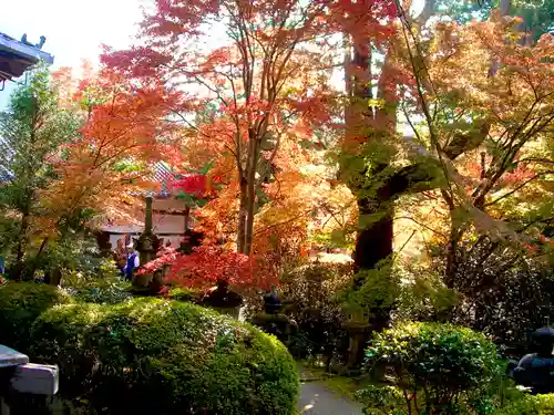 西明寺(京都府)