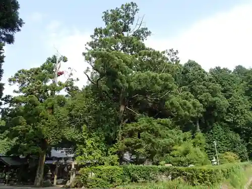 葛神社の景色