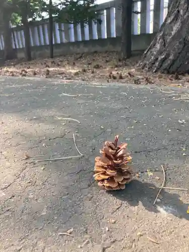 篠路神社(北海道)