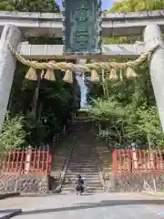 志波彦神社・鹽竈神社の鳥居