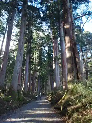 戸隠神社奥社の周辺