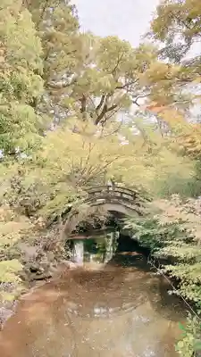 黒髪神社(佐賀県)