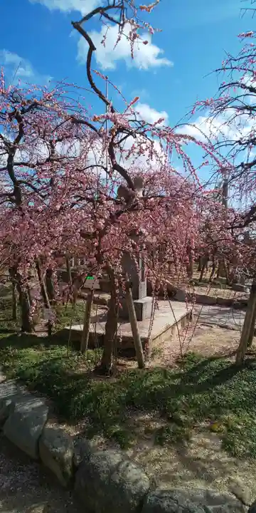 防府天満宮の自然