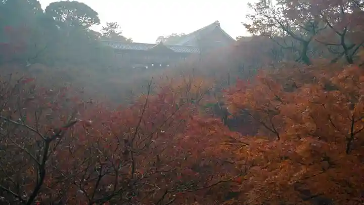 東福禅寺(東福寺)の自然