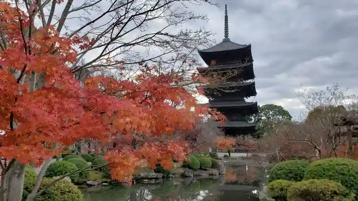 東寺(教王護国寺)(京都府)