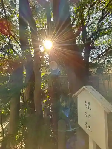 芦屋神社(兵庫県)