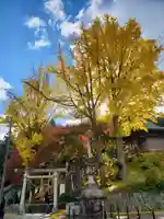 温泉神社〜いわき湯本温泉〜の自然