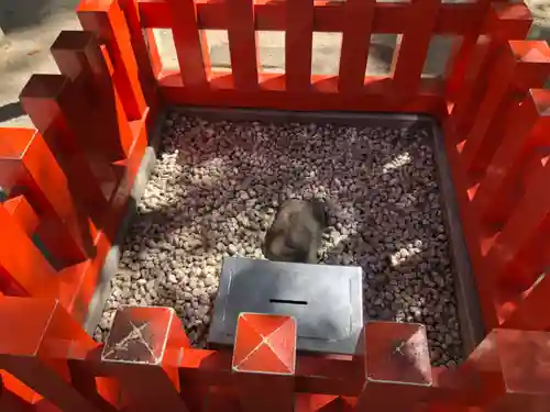 筥崎宮(福岡県)