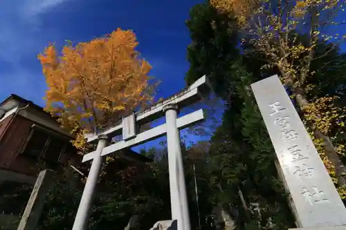 王宮伊豆神社の鳥居