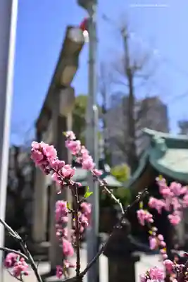 素盞雄神社(東京都)