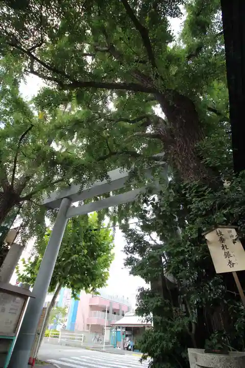 波除神社(波除稲荷神社)の鳥居