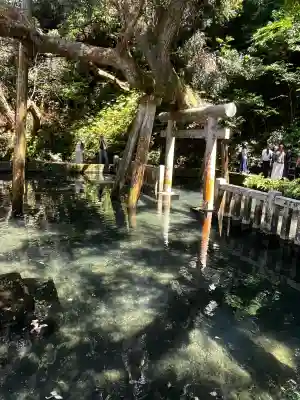 鹿島神宮(茨城県)