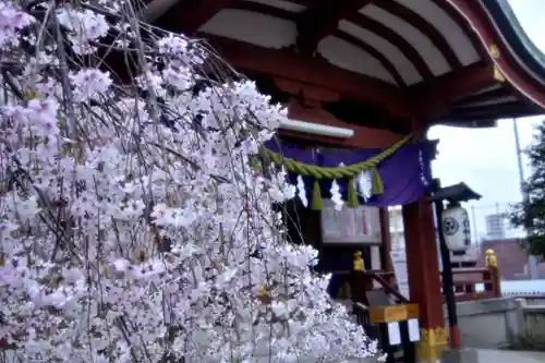 千住神社(東京都)