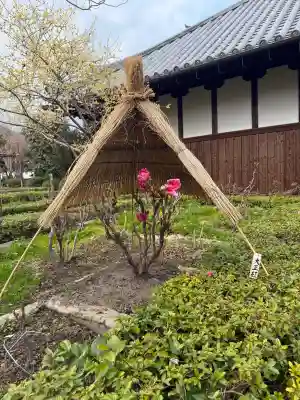 石光寺の{uncategorized: "未分類", other: "その他", undefined: "問題あり", building: "その他建物", grave: "お墓", sacred_gate: "鳥居", guardian: "狛犬", statue: "像", buddha: "仏像", history: "歴史", nature: "自然", garden: "庭園", animal: "動物", pagoda: "塔", temizu: "手水舎", mountain_gate: "山門・神門", sanctuary: "本殿・本堂", subordinate: "末社・摂社", art: "芸術", scenery: "景色", jizo: "地蔵", ema: "絵馬", goshuin: "御朱印", omikuji: "おみくじ", items: "授与品その他", amulet: "お守り", goshuincho: "御朱印帳", eats: "食事", festival: "お祭り", votive_dance: "神楽", shichigosan: "七五三参", wedding: "結婚式", experience: "体験その他", initially: "初詣", around: "周辺", anti_infection: "感染症対策"}
