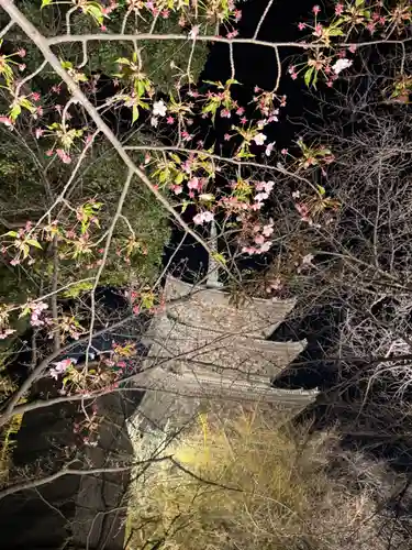 東寺（教王護国寺）の御朱印