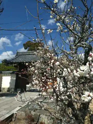 天龍寺(京都府)