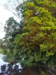 水神社の景色