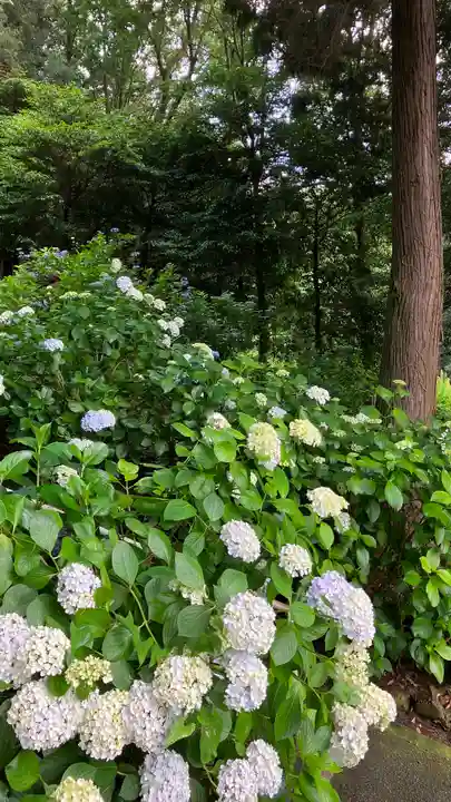 吉備津神社の自然