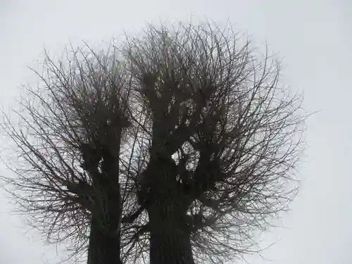 川越八幡宮(埼玉県)