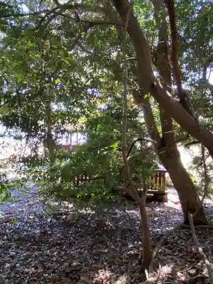 厳島神社の{uncategorized: "未分類", other: "その他", undefined: "問題あり", building: "その他建物", grave: "お墓", sacred_gate: "鳥居", guardian: "狛犬", statue: "像", buddha: "仏像", history: "歴史", nature: "自然", garden: "庭園", animal: "動物", pagoda: "塔", temizu: "手水舎", mountain_gate: "山門・神門", sanctuary: "本殿・本堂", subordinate: "末社・摂社", art: "芸術", scenery: "景色", jizo: "地蔵", ema: "絵馬", goshuin: "御朱印", omikuji: "おみくじ", items: "授与品その他", amulet: "お守り", goshuincho: "御朱印帳", eats: "食事", festival: "お祭り", votive_dance: "神楽", shichigosan: "七五三参", wedding: "結婚式", experience: "体験その他", initially: "初詣", around: "周辺", anti_infection: "感染症対策"}