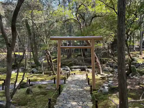 西芳寺の{uncategorized: "未分類", other: "その他", undefined: "問題あり", building: "その他建物", grave: "お墓", sacred_gate: "鳥居", guardian: "狛犬", statue: "像", buddha: "仏像", history: "歴史", nature: "自然", garden: "庭園", animal: "動物", pagoda: "塔", temizu: "手水舎", mountain_gate: "山門・神門", sanctuary: "本殿・本堂", subordinate: "末社・摂社", art: "芸術", scenery: "景色", jizo: "地蔵", ema: "絵馬", goshuin: "御朱印", omikuji: "おみくじ", items: "授与品その他", amulet: "お守り", goshuincho: "御朱印帳", eats: "食事", festival: "お祭り", votive_dance: "神楽", shichigosan: "七五三参", wedding: "結婚式", experience: "体験その他", initially: "初詣", around: "周辺", anti_infection: "感染症対策"}