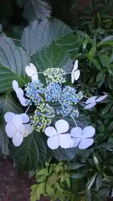 金王八幡宮(東京都)