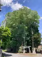小原神社(茨城県)