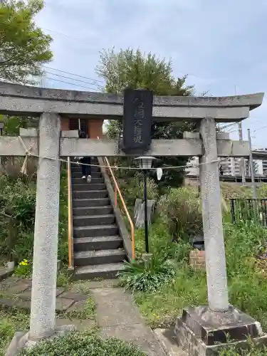 飯綱権現社の{uncategorized: "未分類", other: "その他", undefined: "問題あり", building: "その他建物", grave: "お墓", sacred_gate: "鳥居", guardian: "狛犬", statue: "像", buddha: "仏像", history: "歴史", nature: "自然", garden: "庭園", animal: "動物", pagoda: "塔", temizu: "手水舎", mountain_gate: "山門・神門", sanctuary: "本殿・本堂", subordinate: "末社・摂社", art: "芸術", scenery: "景色", jizo: "地蔵", ema: "絵馬", goshuin: "御朱印", omikuji: "おみくじ", items: "授与品その他", amulet: "お守り", goshuincho: "御朱印帳", eats: "食事", festival: "お祭り", votive_dance: "神楽", shichigosan: "七五三参", wedding: "結婚式", experience: "体験その他", initially: "初詣", around: "周辺", anti_infection: "感染症対策"}
