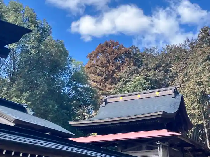 出雲伊波比神社(埼玉県)