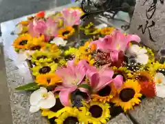 札幌諏訪神社の手水