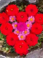 伊達神社の手水舎