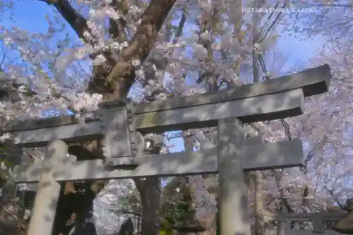 前原御嶽神社の鳥居