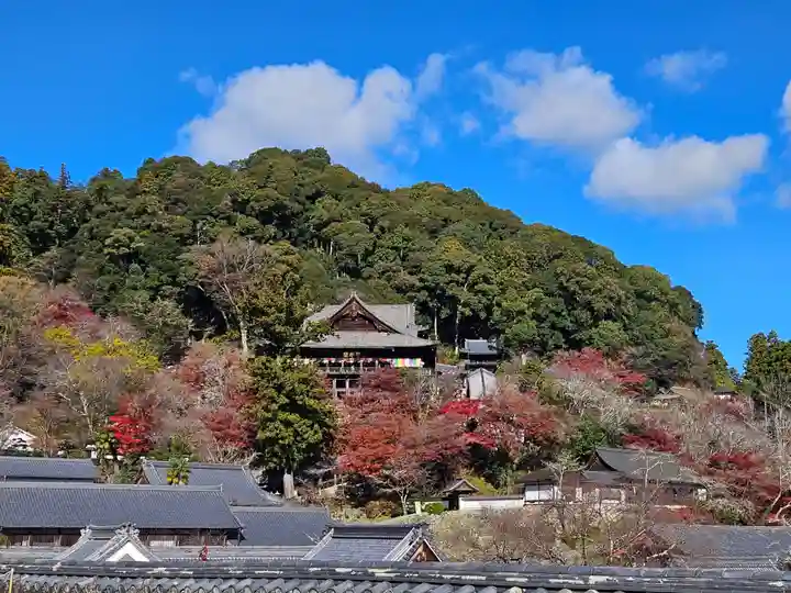 長谷寺(奈良県)